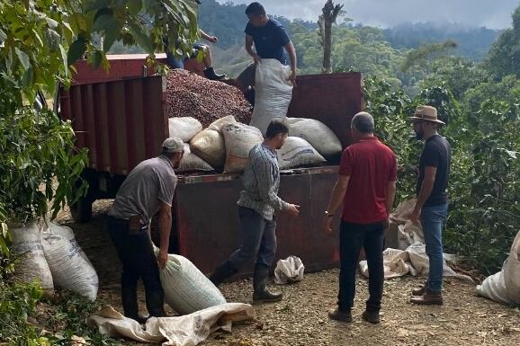 Los más de 70 representantes del mundo, entre los que se encuentra el mismísimo rey de España, Felipe VI, recibirán un regalo desde las propias entrañas de nuestro terruño, tres tipos de café de la mejor calidad de exportación que tenemos de la empresa tica Café de Altura de  San Ramón