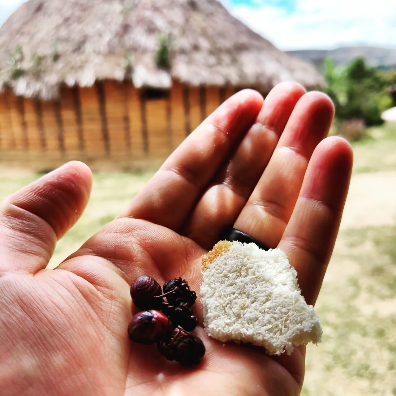 El fraile costarricense, Erick Marín Carballo, estuvo desde el 2022 al 2024 en el Amazonas y compartiendo 100% del tiempo con indígenas aprendió a comer mono, insectos de todo tipo y enamorarse del sabor de la piraña