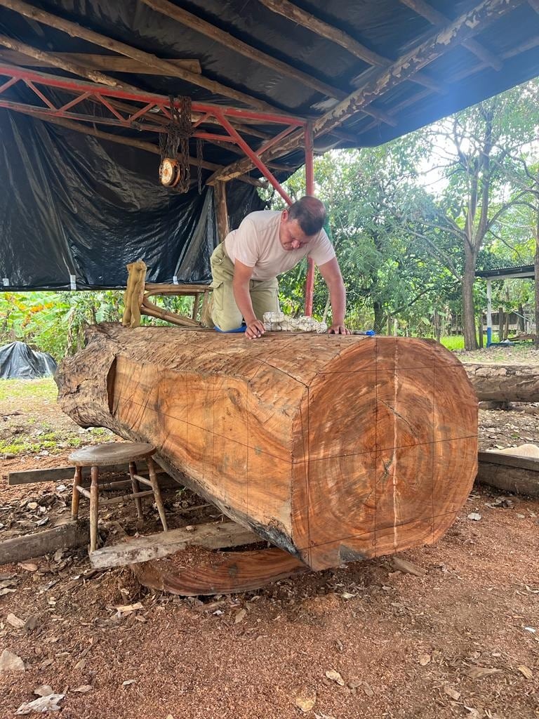 El respetadísimo escultor nicoyano, Juan Rolando Rodríguez P. hizo una réplica del David de Miguel Ángel de 4 metros de altura en madera del árbol de Guanacaste.