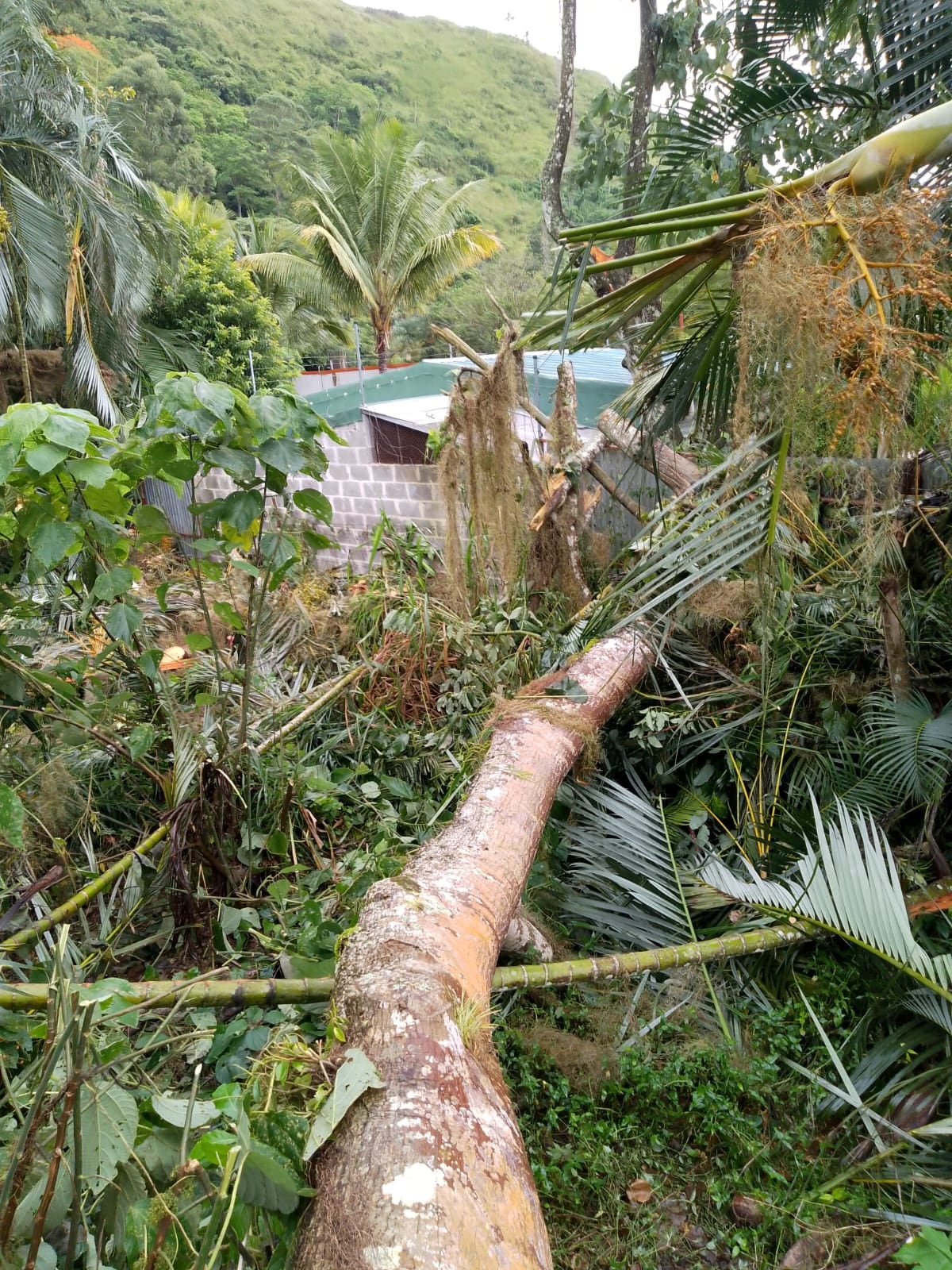 Don Marco Solano Moya vive en Paraíso de Cartago y desde hace varios años está en una guerra sin cuartel con el objetivo de salvar un cementerio en el cual hay más de mil personas enterradas desde la época colonial