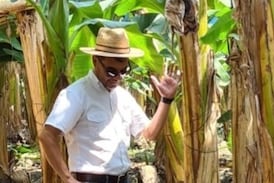 Costarricense que era gerente general de reconocida empresa internacional muere apuñalado en Belice