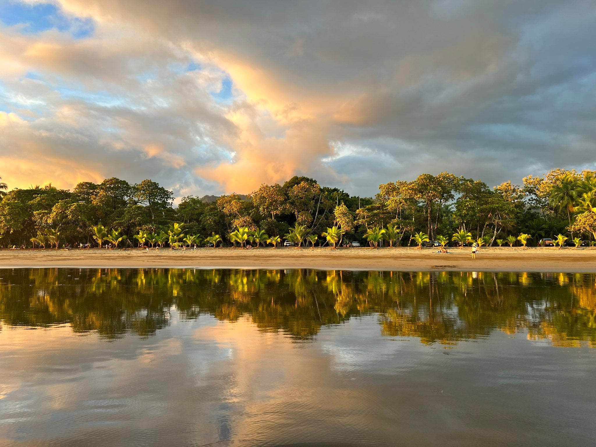 Fotografía de Playa Matapalo destacada por Earth resalta la pureza del paisaje costarricense.