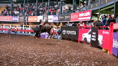 Toros Teletica: improvisado queda expuesto en Pedregal tras fuerte levantín