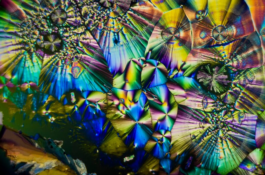 Pareja tica ganó concursos internacionales