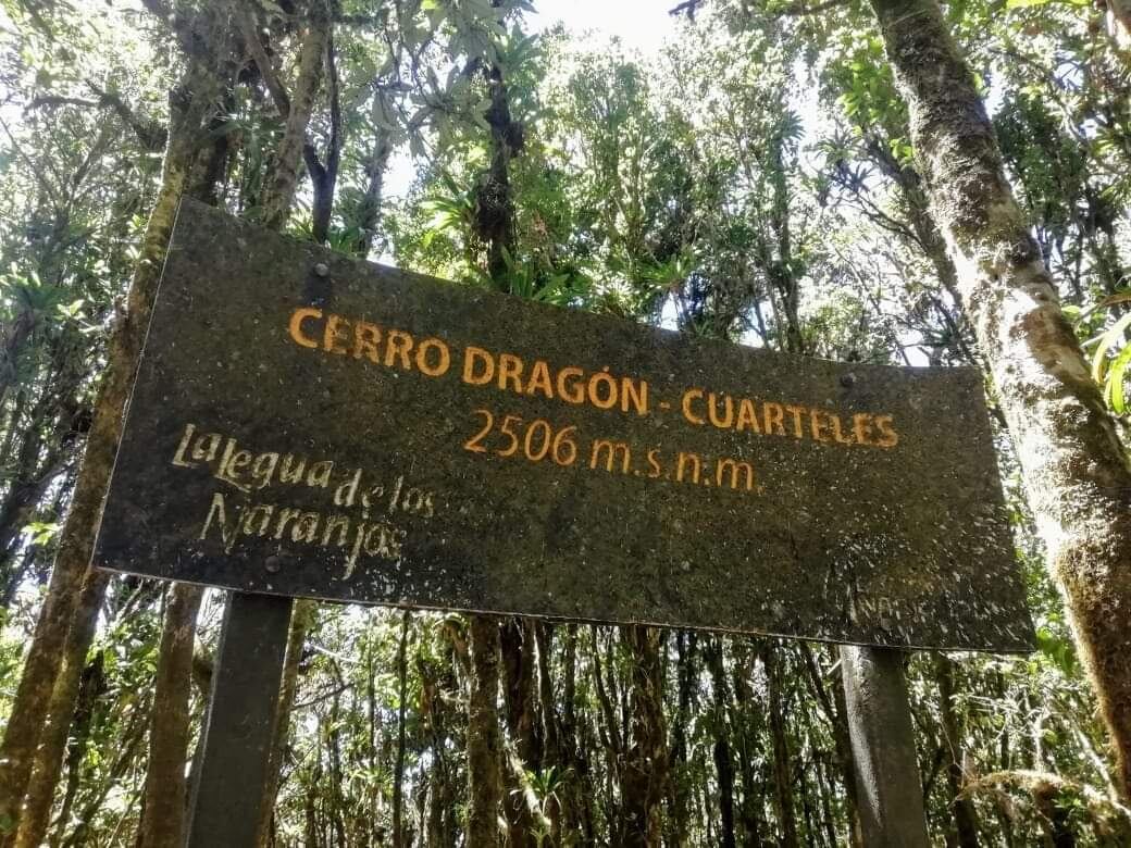 Este tour le será útil para prepararse para ir al cerro Chirripó.