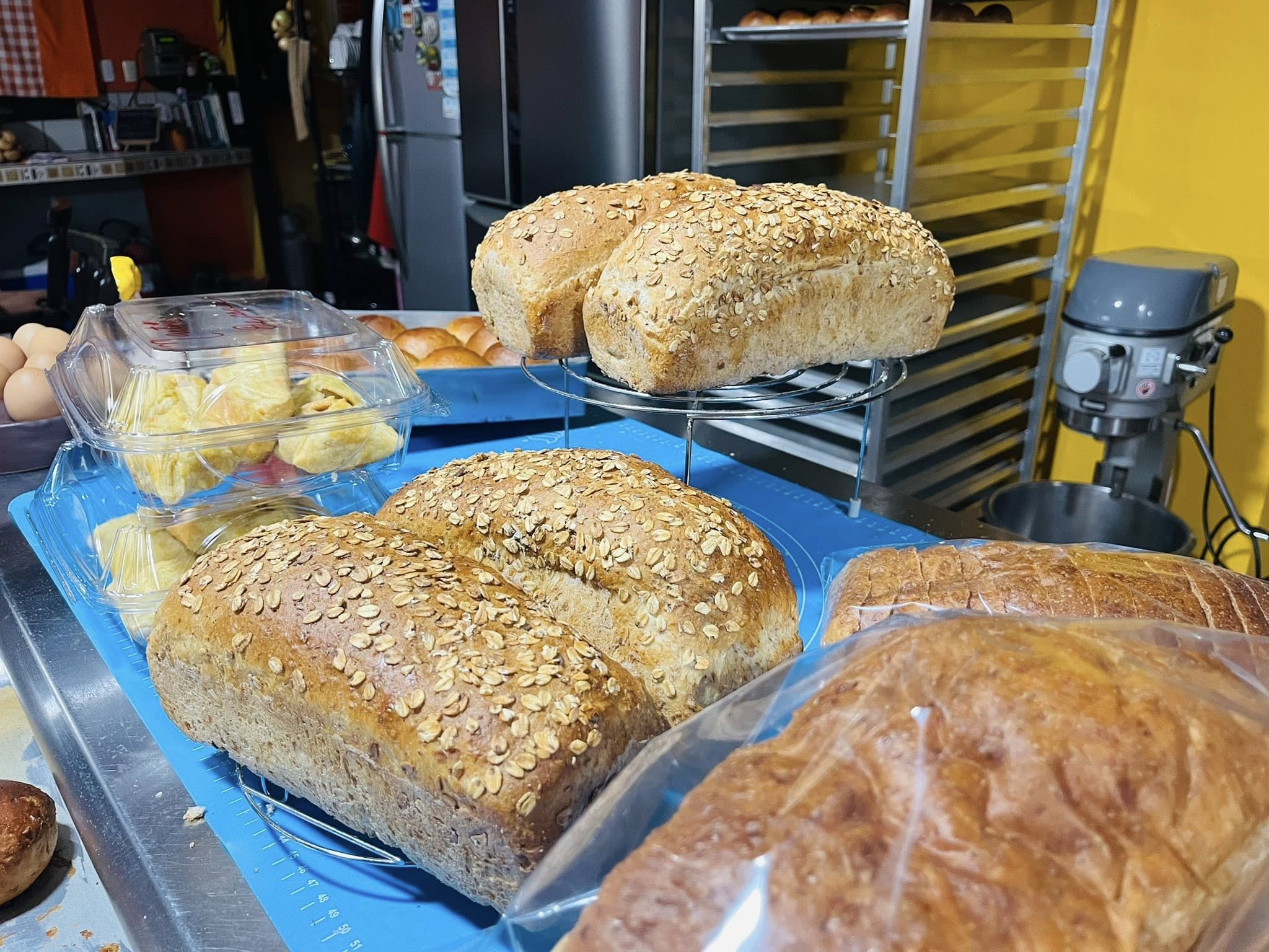 Patricia Navarro habla de la pesadilla que vive por denunciar corrupción en el gobierno