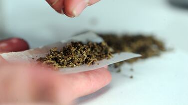 Diputado: “No todos lo que hemos consumido cannabis estamos destinados al fracaso”