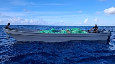 Autoridades estadounidenses ayudaron al decomiso de una enorme cantidad de marihuana