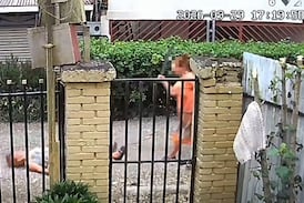 Cámara graba brutal ataque con machete de una mamá y su hija contra adulta mayor en Cartago