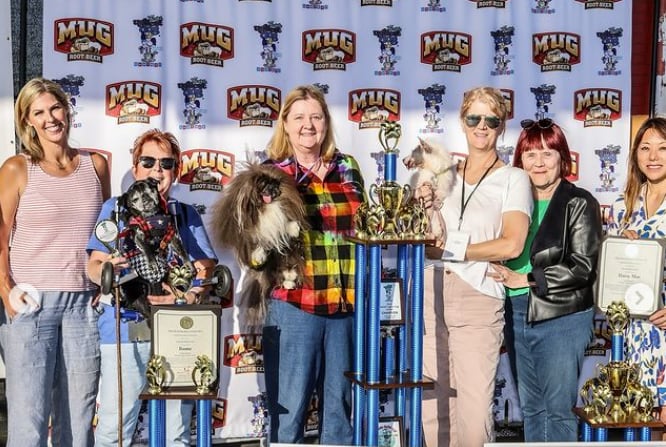 perrito más feo del mundo