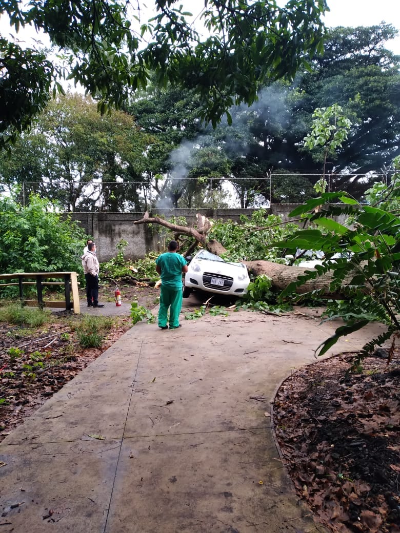 Lluvias del lunes causaron 105 incidentes en 30 cantones. Foto