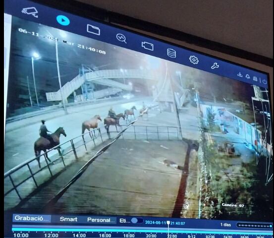 David Patey contó que tienen videos donde se logra ver el robo de sus caballos de Ponderosa.