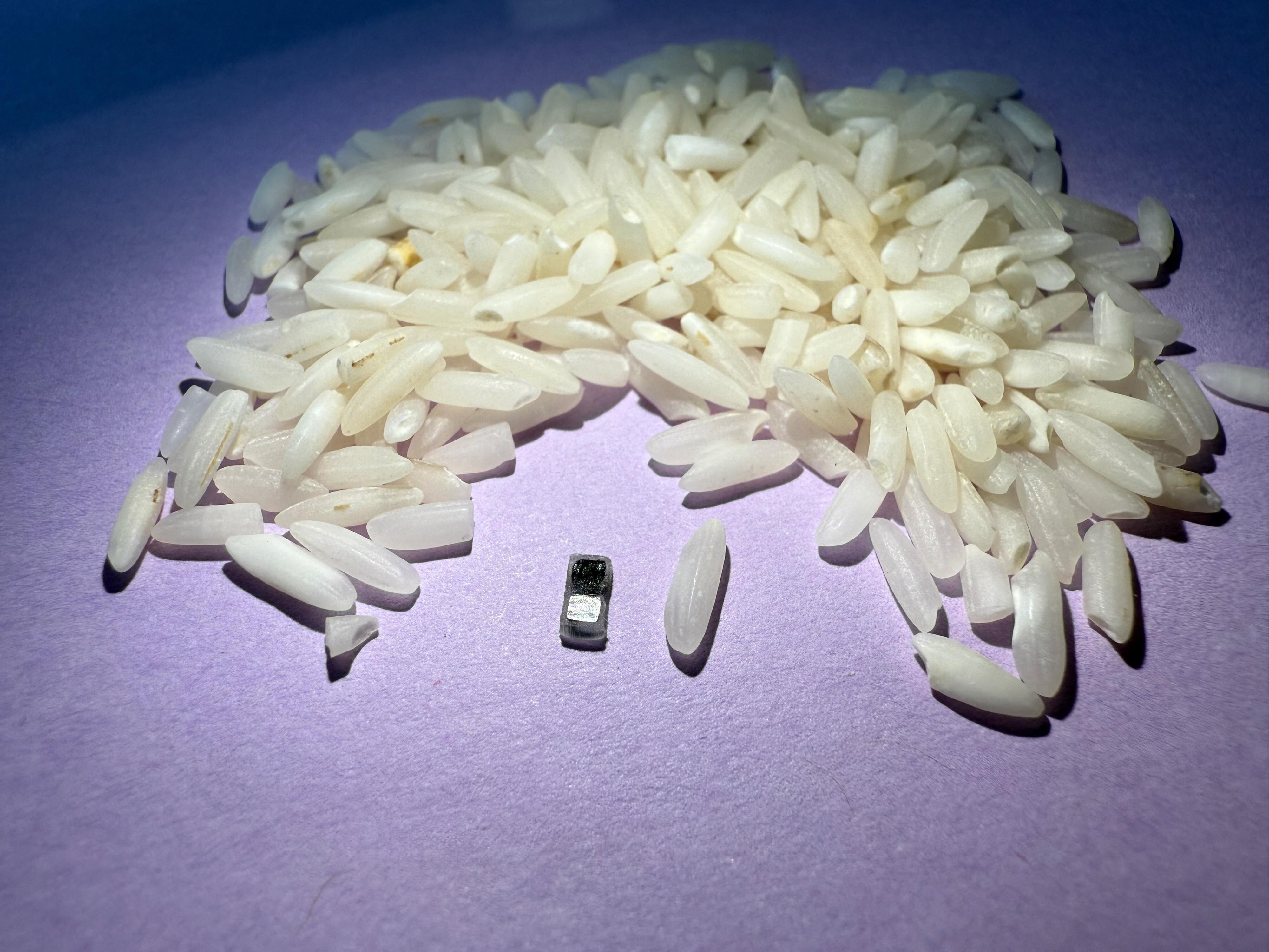 than a grain of rice that can be injected, controlled by light, and eventually dissolves. (Photo by John A. Rogers / Northwestern University / AFP) / RESTRICTED TO EDITORIAL USE - MANDATORY CREDIT "AFP PHOTO /   NORTHWESTERN UNIVERSITY" - NO MARKETING NO ADVERTISING CAMPAIGNS - DISTRIBUTED AS A SERVICE TO CLIENTS
