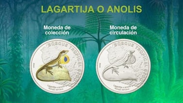 ¿Cuándo sale a la venta la moneda coleccionable de ¢50 de la lagartija y dónde se podrá conseguir?