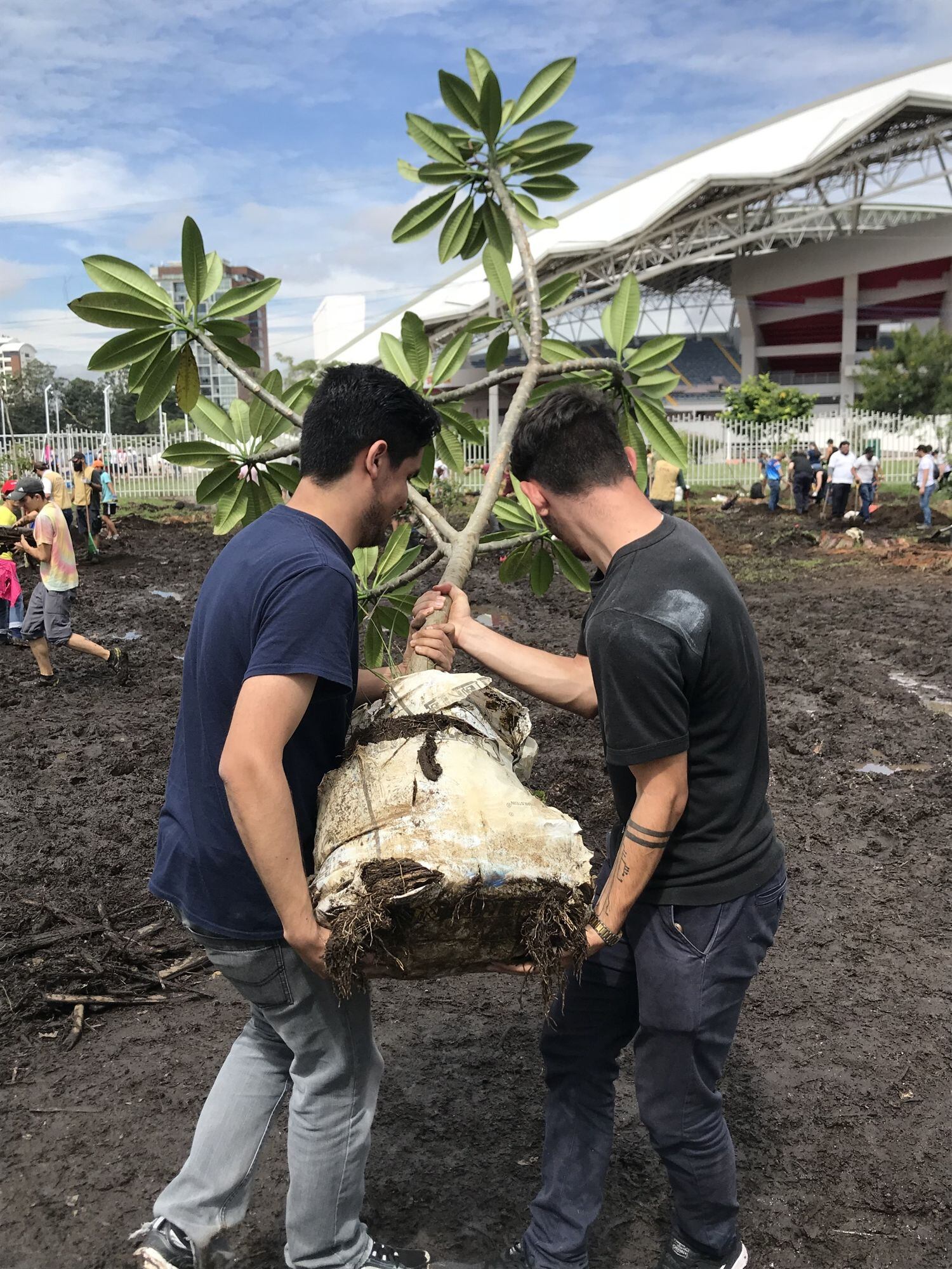 Aprovechando la celebración del Día Nacional del Árbol, que fue este 15 de junio, el Instituto Costarricense del Deporte y la Recreación (Icoder) y el Scotiabank, confirmaron que después de 13 años finaliza el proyecto de arborización “Una Nueva Sabana” en Parque Metropolitano La Sabana.