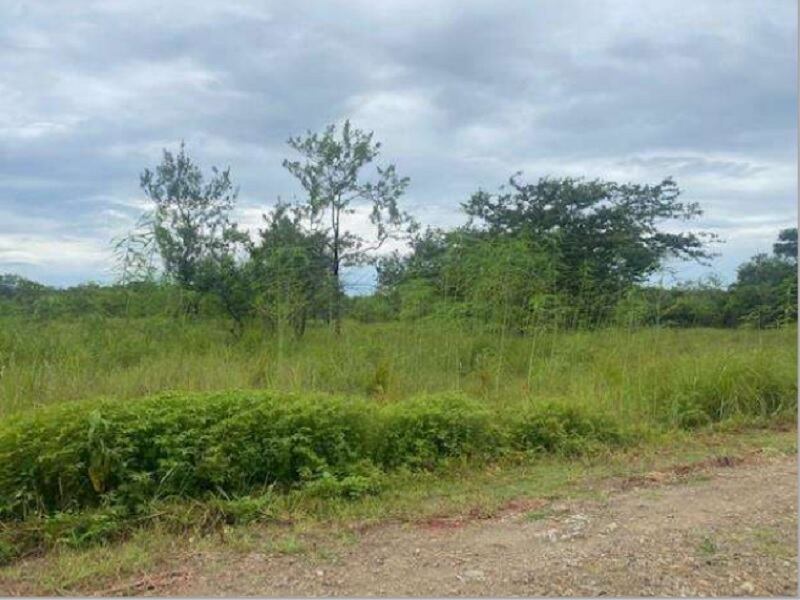 El Banco de Costa Rica tiene varios terrenos y casas disponibles a la venta, con buenos descuentos.