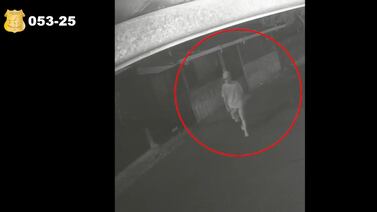 Descalzo, pero armado, así actuó sospechoso de homicidio de un joven de 24 años