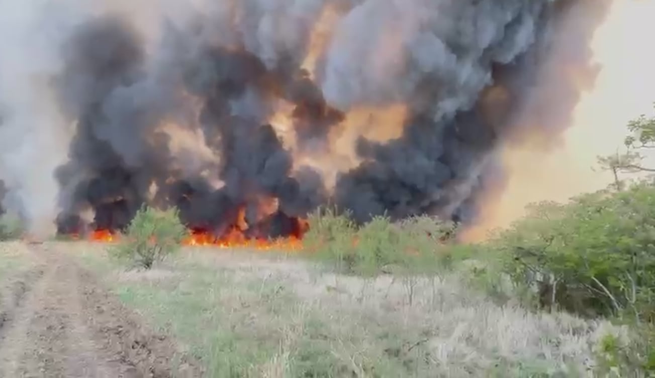 Incendio en Parque Nacional Palo Verde