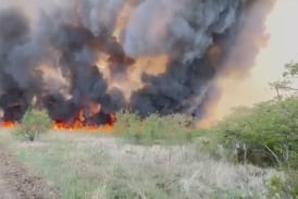 Vea las impresionantes imágenes de incendio en Palo Verde que ya arrasa miles de hectáreas en Guanacaste