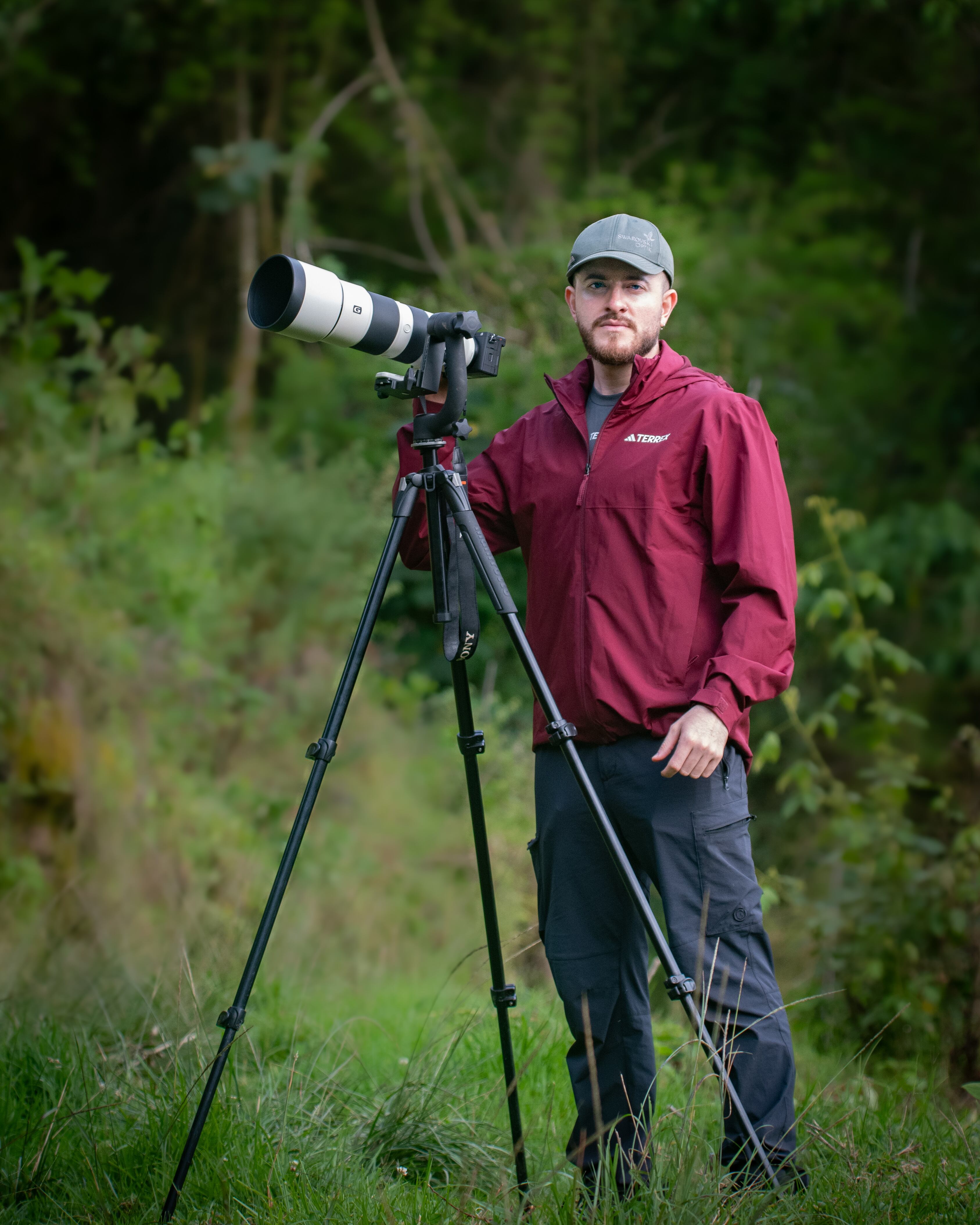 Alexander Montero captó al flamenco americano en el Caribe Costarricense. Cortesía.