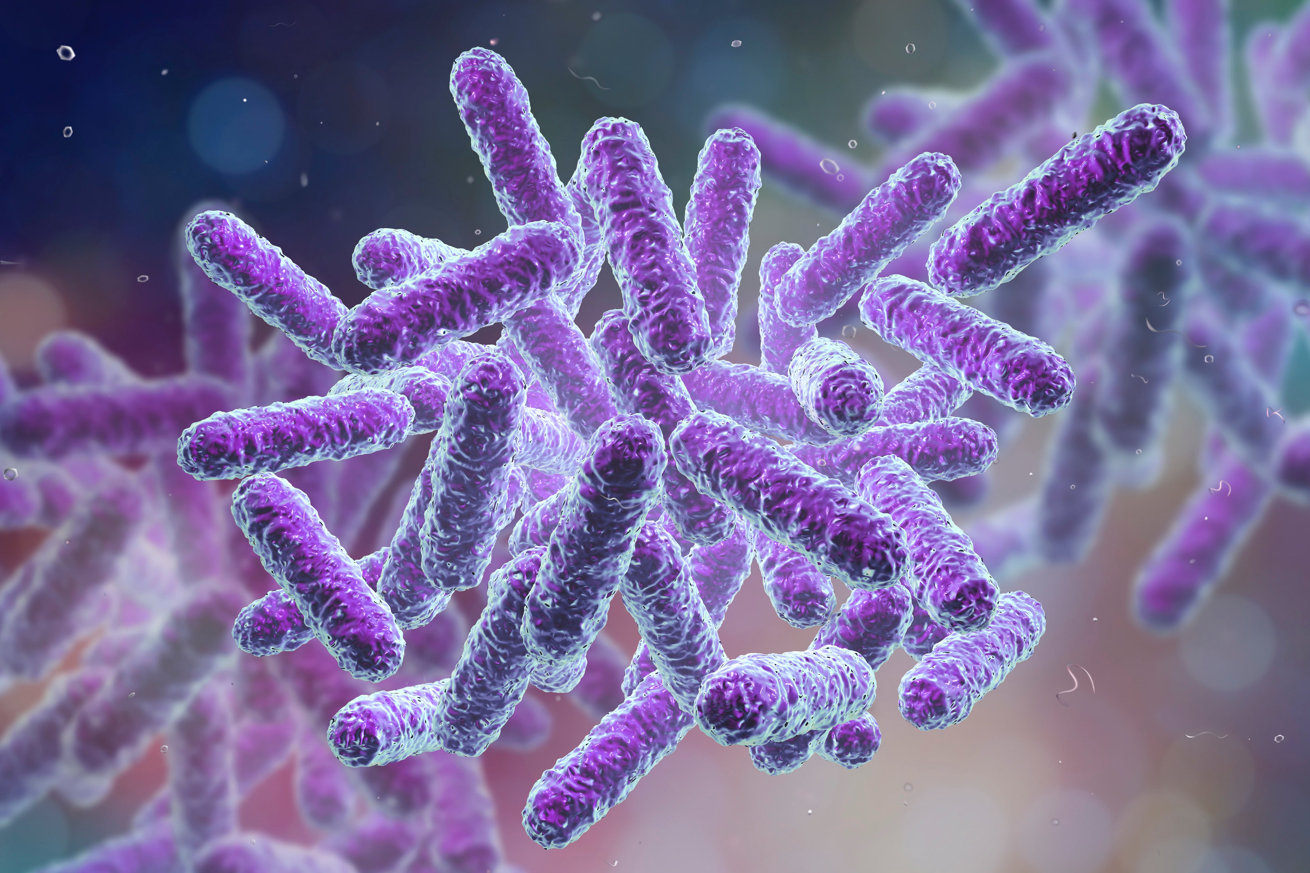 Ilustración genérica de una bacteria vista al microscopio, con forma alargada y textura detallada, utilizada para ilustrar un brote infeccioso.