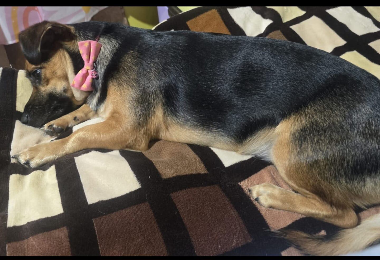 Siena tiene a su familia con el corazón roto