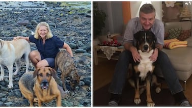 Audi se convirtió en la clave para dar con sospechosos del asesinato de esposos europeos en Quepos