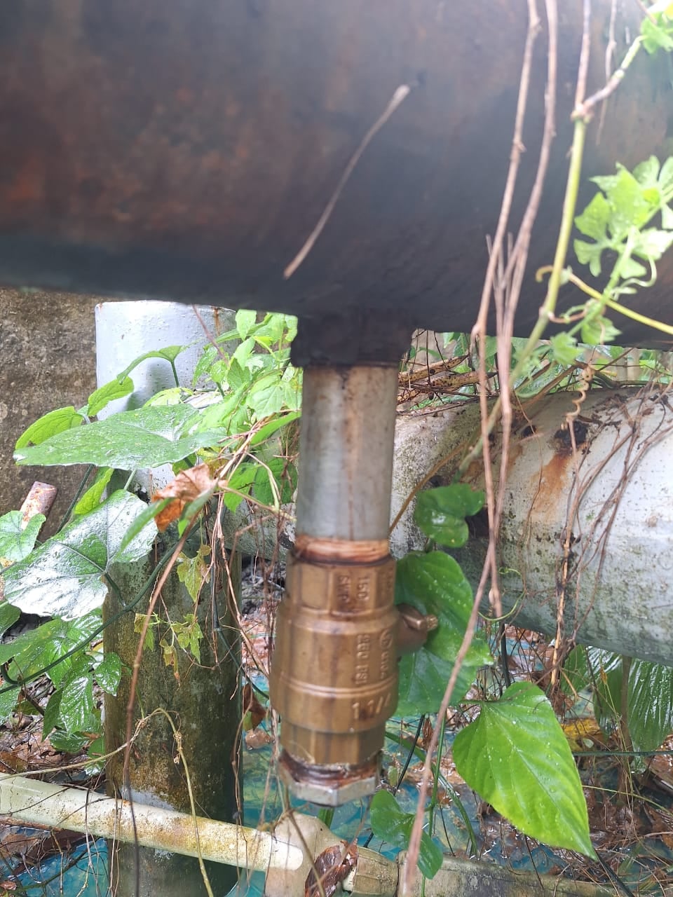 Derrame de diésel contamina ríos en Limón.