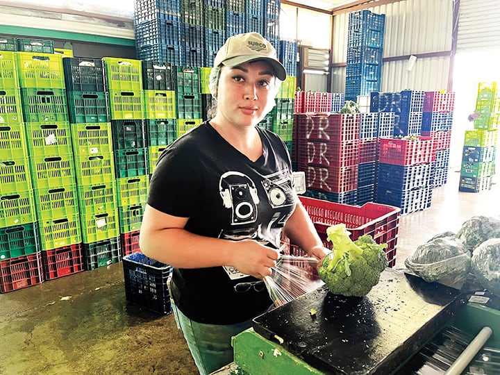 María José Chacón Gómez, productora de coliflor y brócoli.