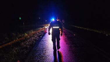 Árbol provocó fatalidad para tres adultos que viajaban en un carro