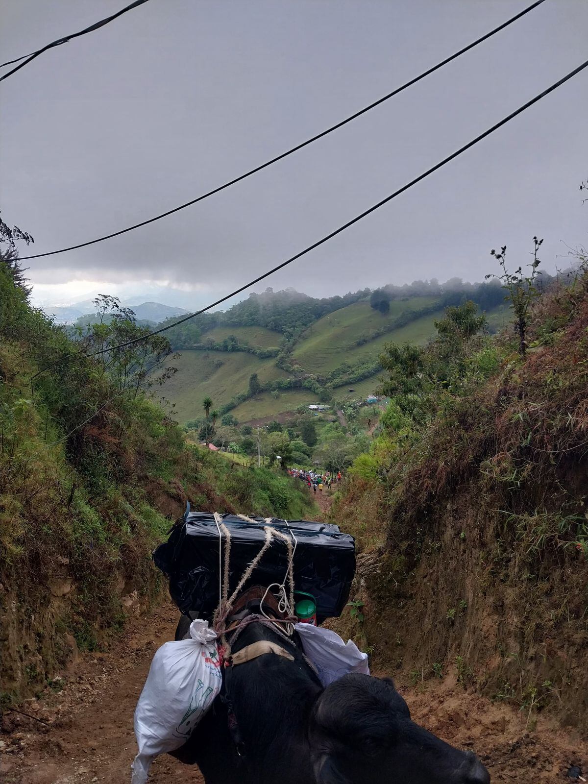 Este sábado 12 de abril, a vísperas del inicio de la Semana Santa, la comunidad católica alajueliteña realizó un viacrucis hasta uno de los emblemas más representativos que tienen, la cruz