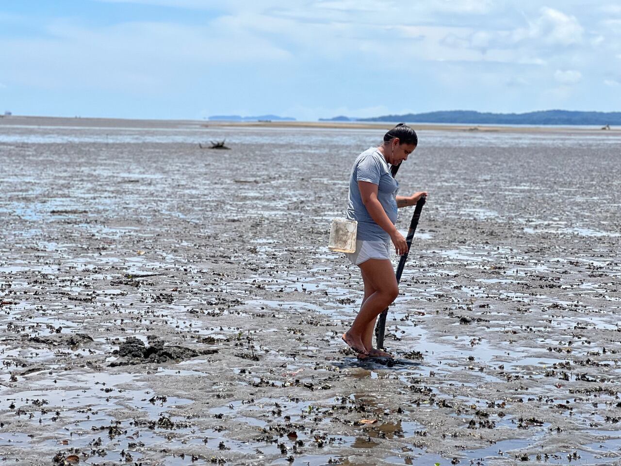 Un grupo de mujeres pescadoras recibirán un reconocimiento de la importante marca de ropa Pierre Cardin. Cortesía.