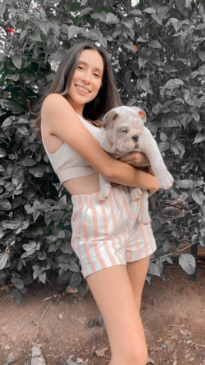 Chase, perrito del portero Víctor Bolívar, que murió por una pedrada. Cortesía