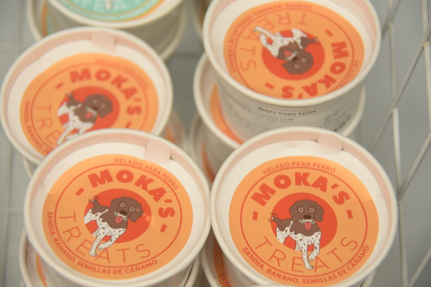 Festival del helado en la Antigua Aduana. Foto Wilmer Madrigal.