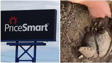 Esto acaba de informar PriceSmart sobre supuesto hallazgo arqueológico en terreno donde construirán nuevo local