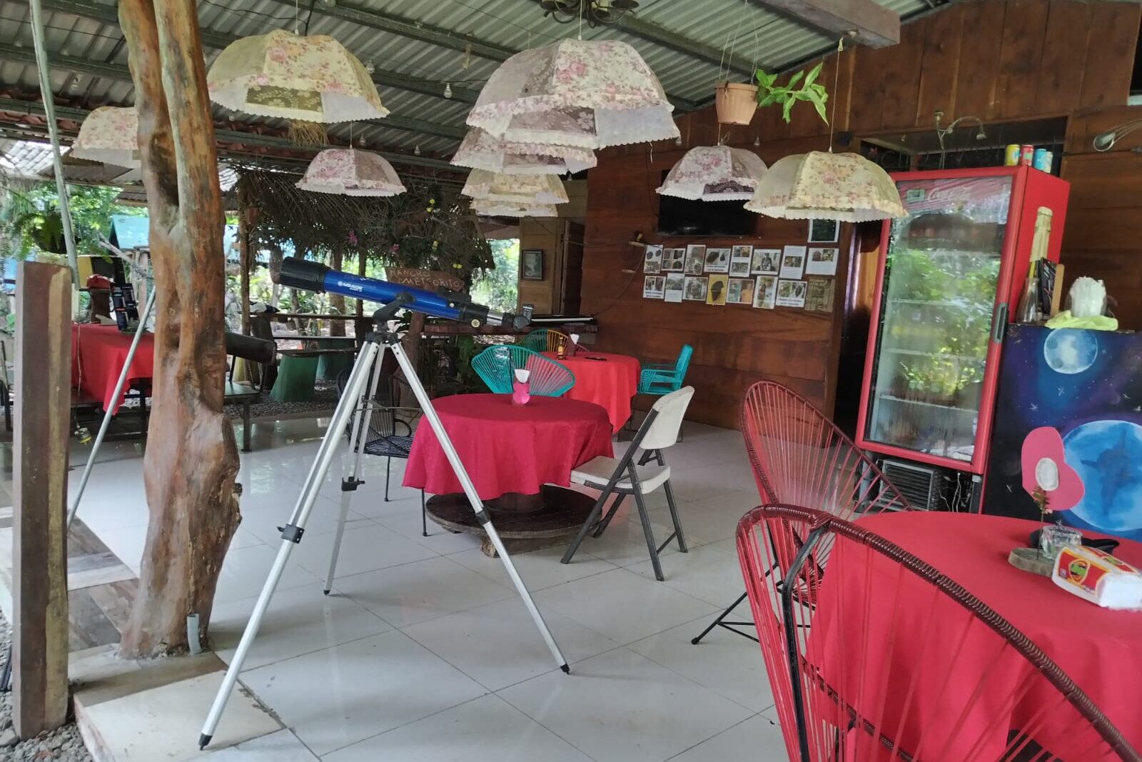 El meteorito de Aguas Zarcas cayó el 19 de abril de 2019.