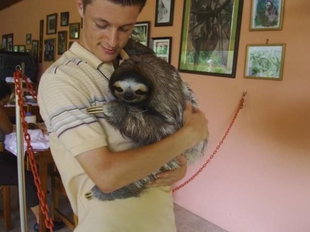 Jeffery Allen Rochte es de la tercera generación de una familia que cuida los perezosos de dos y tres dedos en Cahuita, LImón, donde tienen el Santuario de Perezosos.