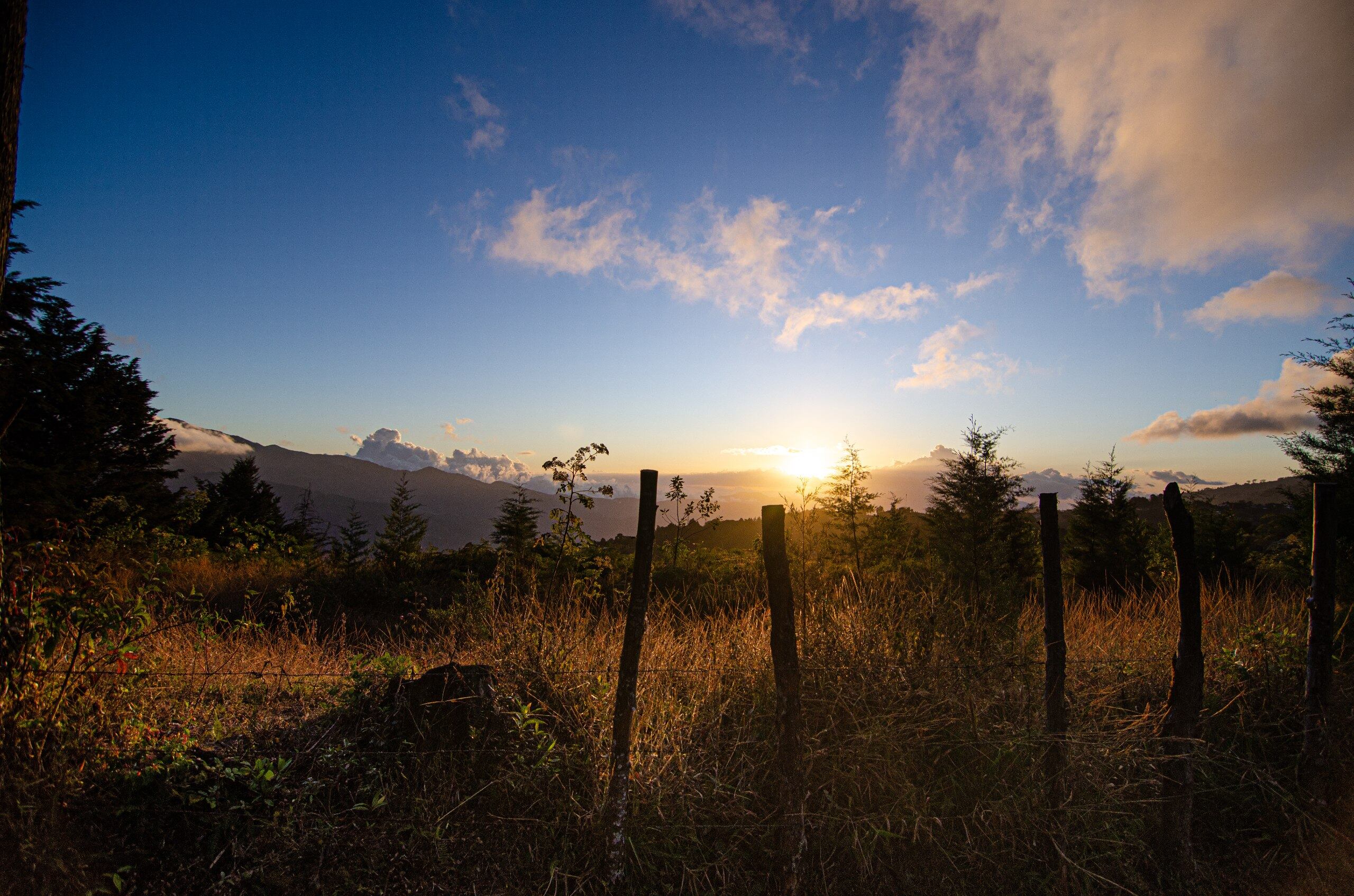 Finca los Segura será el escenario para un rato en familia.