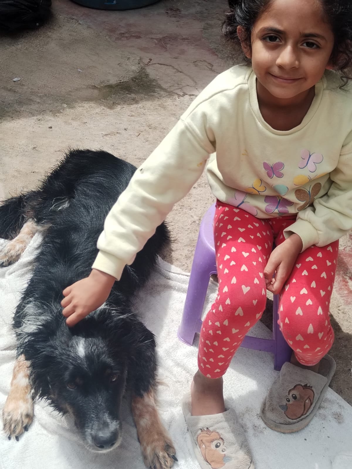 Otto fue rescatado durante la Romería del 2025 y adoptado ese mismo 2 de agosto por la familia de doña Nancy Sánchez, quien asegura que la Virgencita de los Ángeles se lo puso en el camino. En la foto, una primita humana de Otto, Kristel Naomi de 8 años quien lo ama y juega mucho con él.