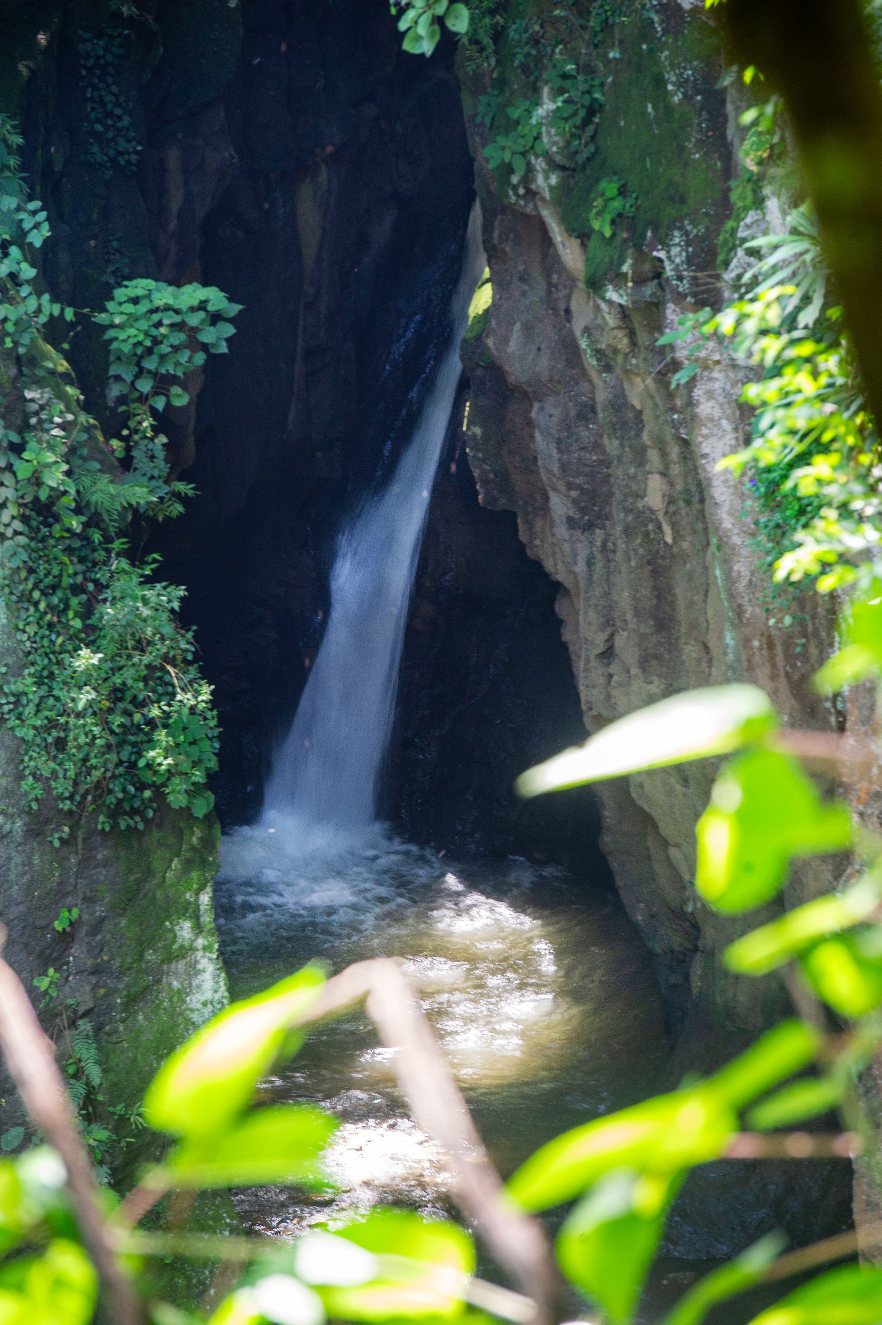 Parque natural urbano Lorne Ross