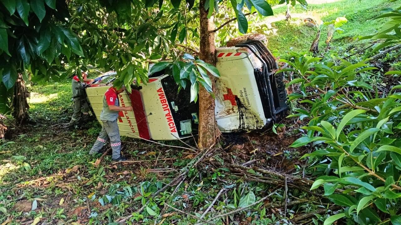 Tres cruzrojistas volvieron a nacer la mañana del domingo 14 de junio del 2026, al caer a un guindo en Fila Cal de San Vito, Coto Brus. Foto: Tomada de redes sociales