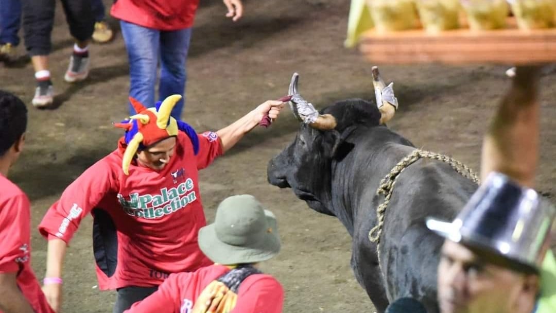 Muy poquitos lo conocen como Paul de Jesús Vasconcelos Chavarría, sin embargo, al decir que hablamos de Pikos, el torero improvisado, una mayor cantidad de gente sí lo reconoce porque lo ha visto desde el 2019 en las transmisiones televisivas de los toros de fin y principio de año.
