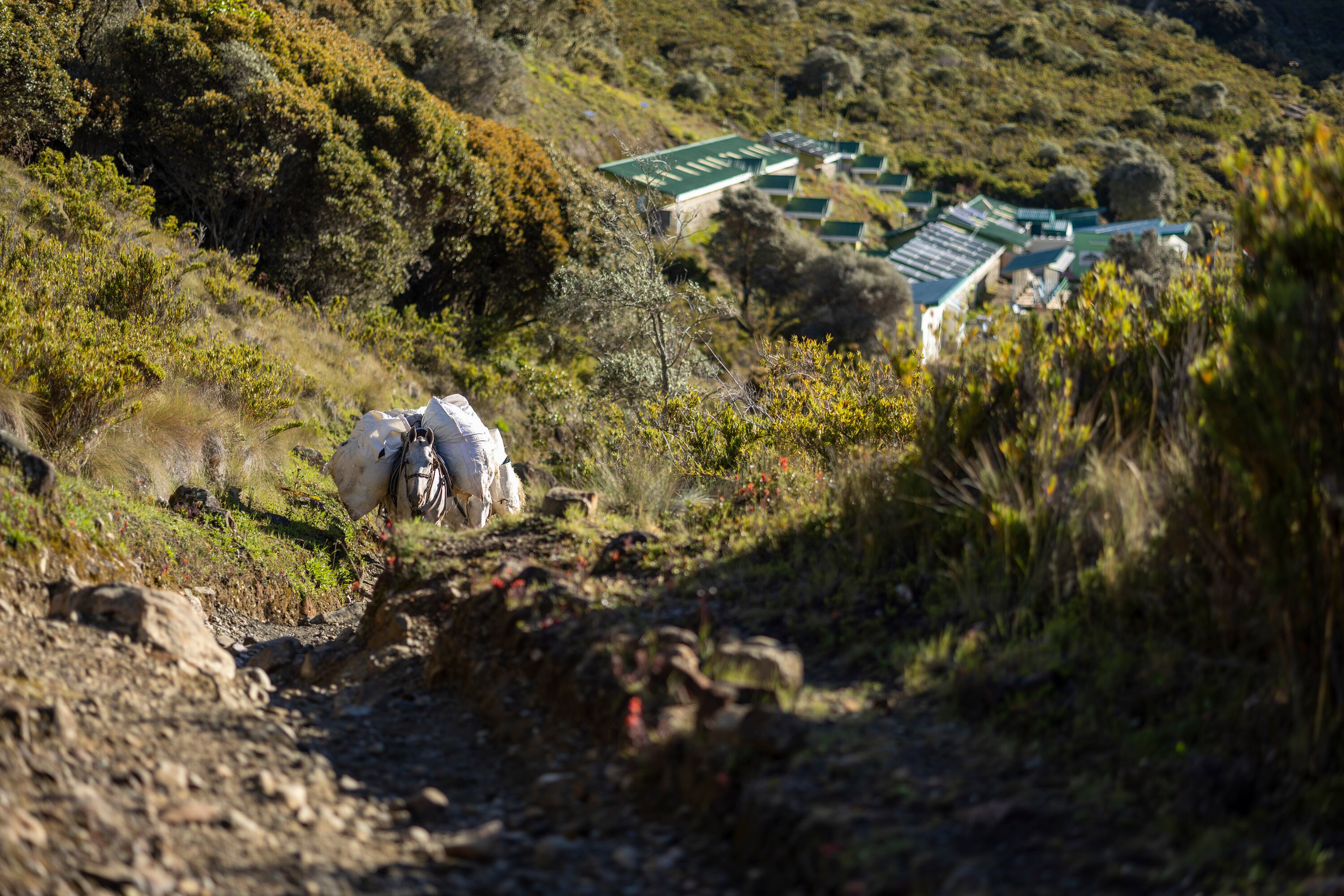 04/09/2024, San José, Cerro Chirripó, gira de La Teja a la cima del Cerro Chirripó, para explicar como es esa caminada hasta la cima y todo el proceso que hay que hacer para entrar al parque y recibir la atención en el albergue.