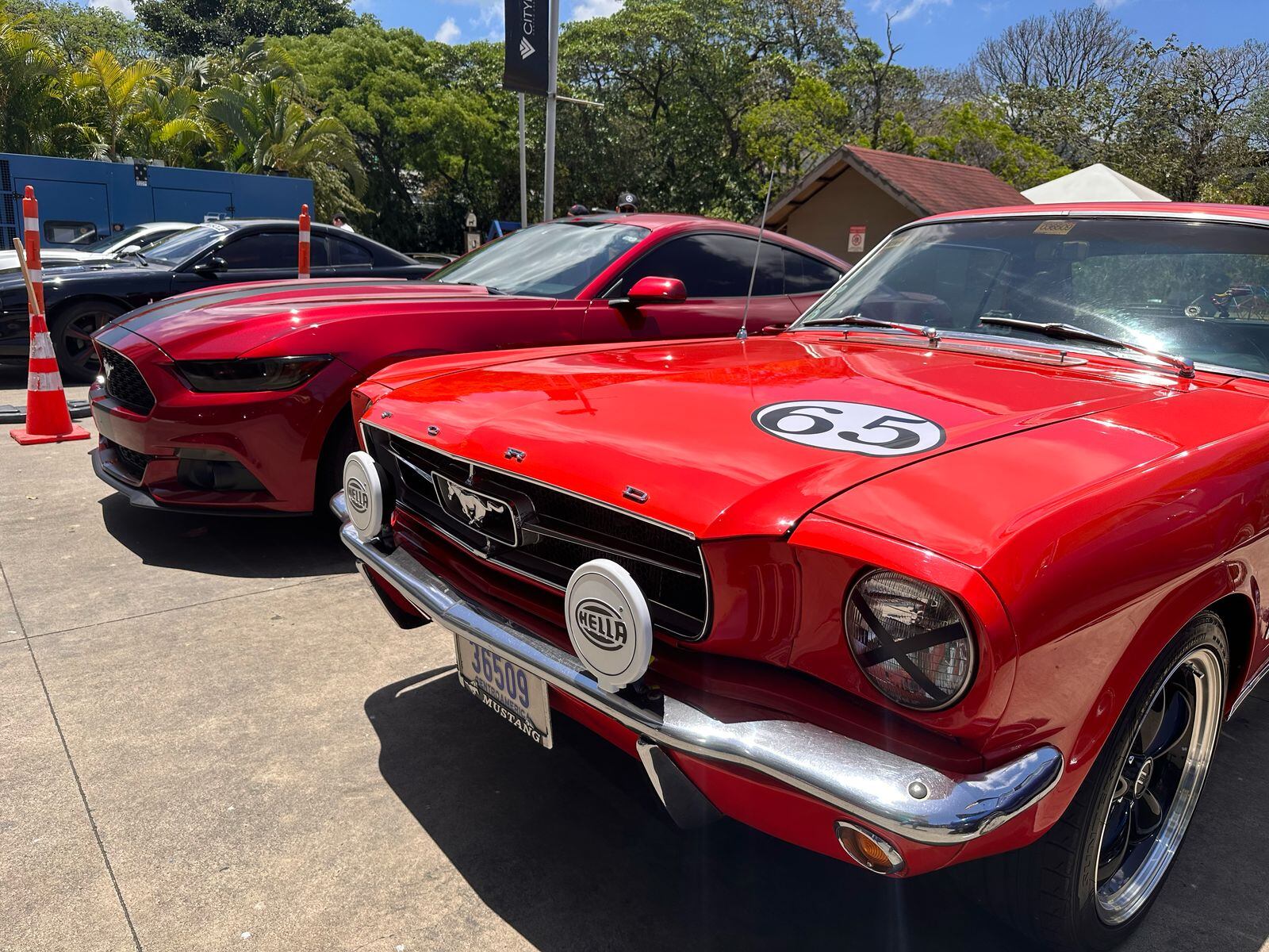 Exhibición que organizó el club Street Mustang, justamente en City Place de Santa Ana
