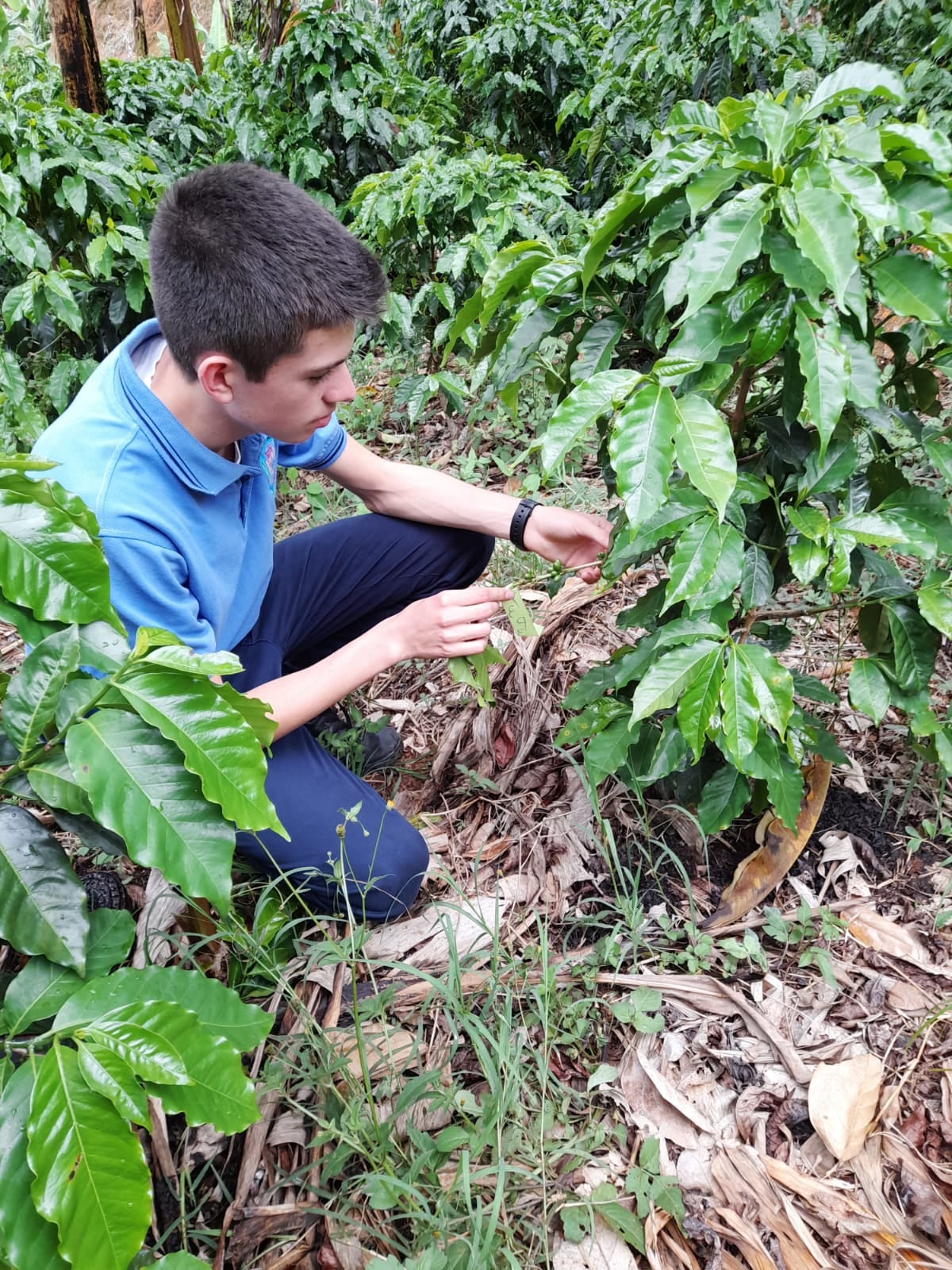 Rodrigo Ureña Monge, vecino del barrio Guadalupe de Tarrazú, en plena Zona de los Santos, tiene una historia que combina café, madrugadas y mucha perseverancia