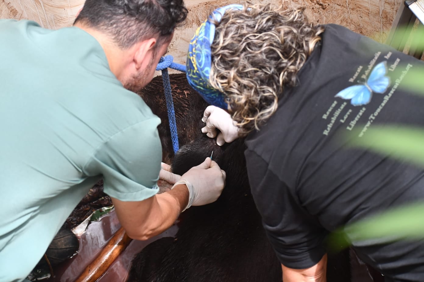 Toucan Rescue Ranch danta