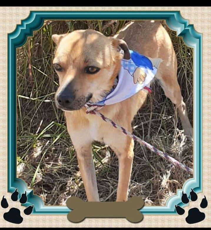 Bruno está perdido desde el pasado 17 de setiembre.