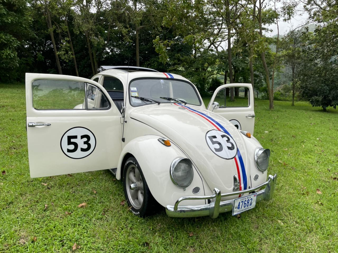 Maximiliano Peralta y Mariano Peralta, herbie, vollkswagen, vocho