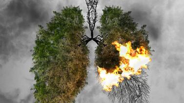 Científicos determinan fecha en que la Tierra enfrentará una extinción masiva