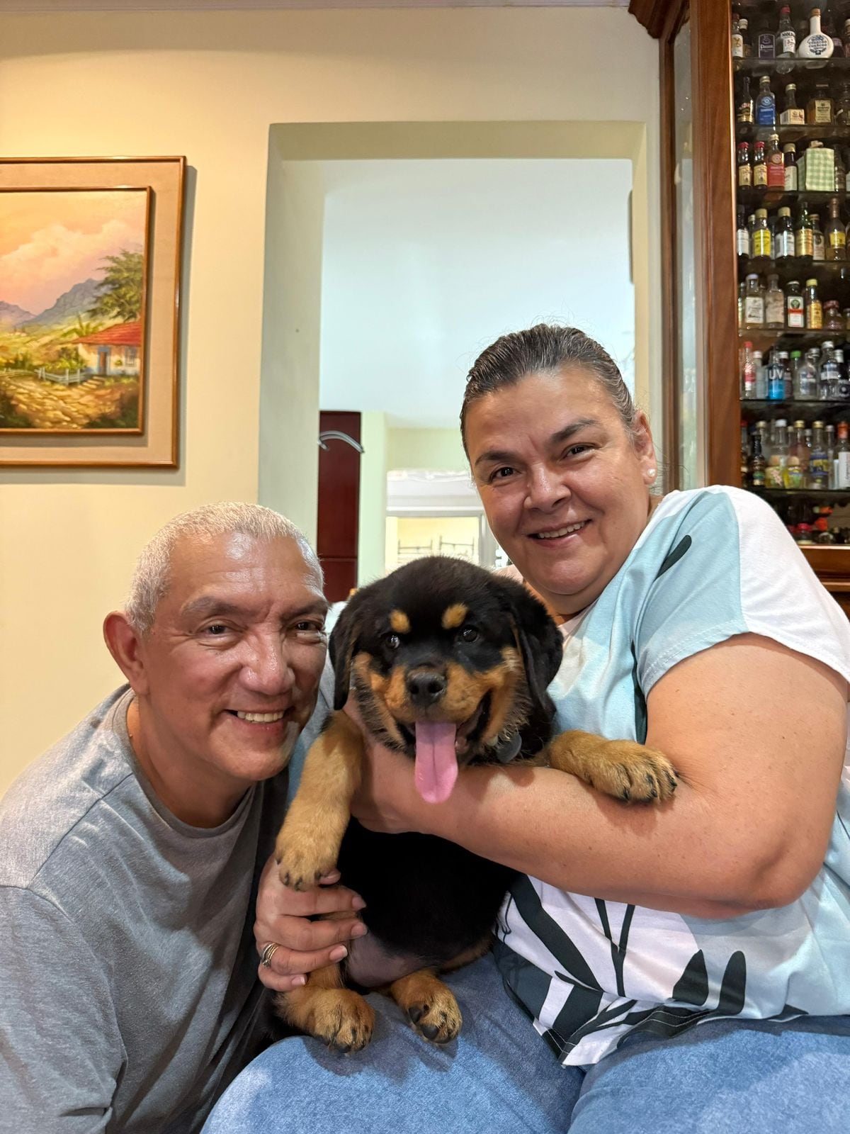 Numa, la Rottweiler que volvió a encender la luz de amor perruno en una casa de Santo Domingo de Heredia